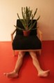 /album/photo-gallery-plakbenz/naked-cactos-jpg1/